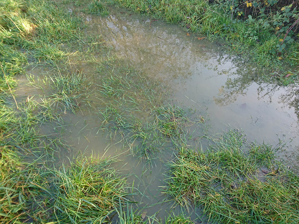 standing water after heavy rain 
