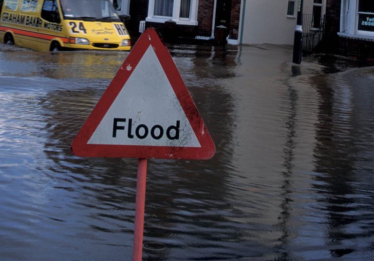 My garden’s been flooded, what can I do? Climatechangegarden